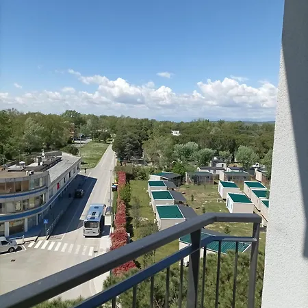 Sogni D'oro *